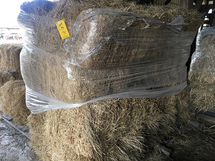 18X Small square bales grass hay Lot 74, McCutchan Farmer