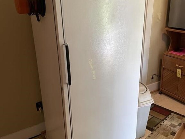 GE upright freezer Lot 1040, Patricia Plutowski Estate Online