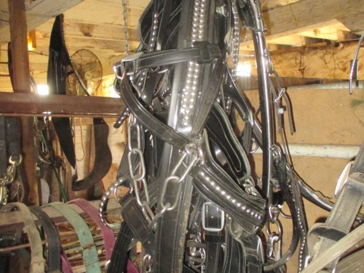 1402 • Set of Bio Draft Horse Harnesses with 26" Stainless Steel Hames