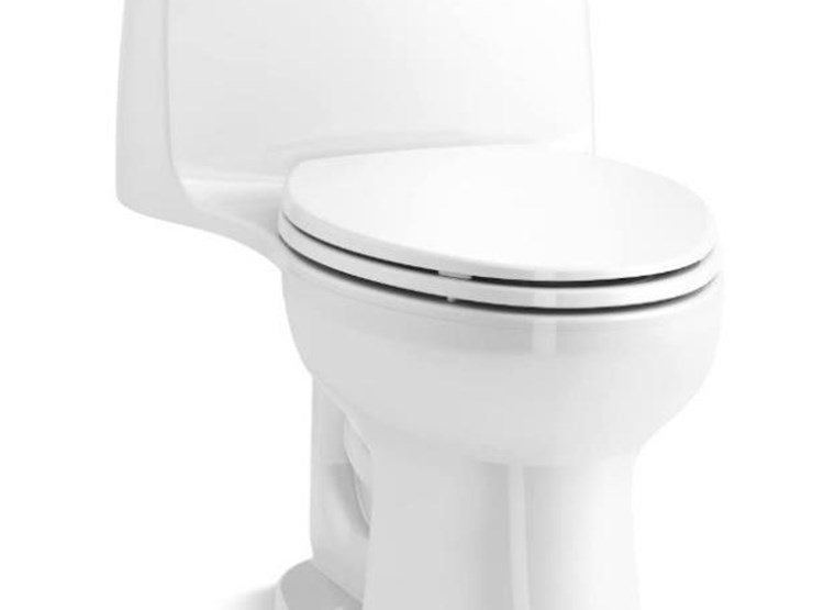 Kohler OnePiece Toilet 308100 Lot 66, April Monthly Day 1 Auction