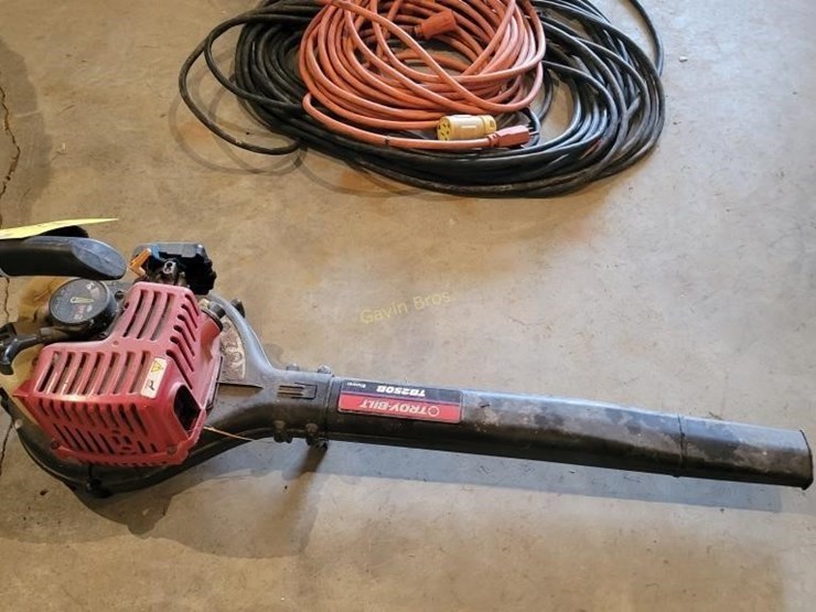 Troy Bilt Leaf Blower Lot 387, Bruce Plautz Estate, 5/17/2023, Gavin